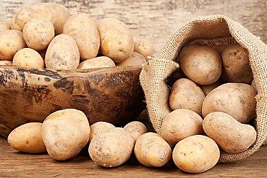 《仁王》系列最新作《仁王3》确定于2026年初发售！「α体验版」即日起限时开放试玩